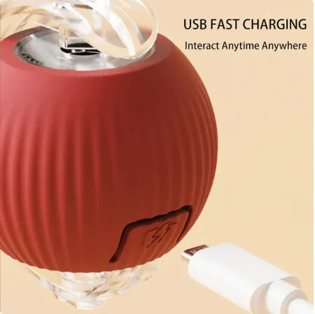 Smart Rolling Pet Ball