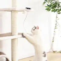 Interactive Electric Cat Toy with Elevating Ball