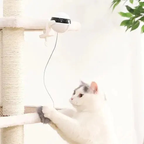 Interactive Electric Cat Toy with Elevating Ball