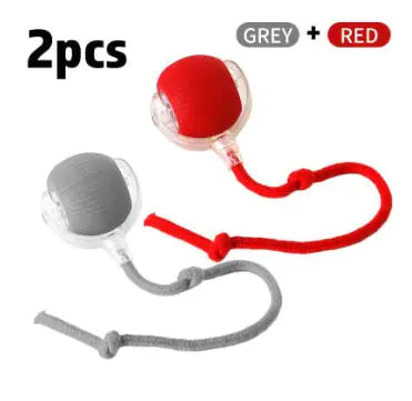 Interactive Cat Toy Ball